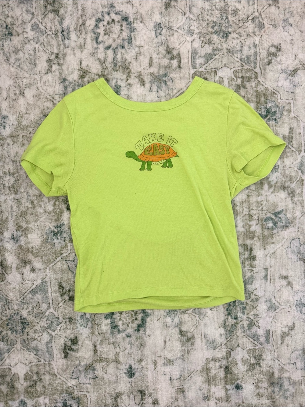 American Eagle Outfitters Lime Green Turtle Graphic Tee